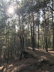 248_ip_190218_IMG_3609