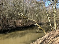 363_iP_190304_IMG_3678