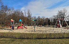 007_20_IMG_20190309_090244