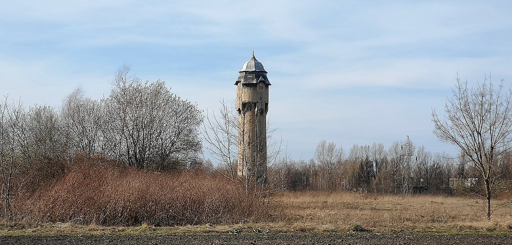 140_p20_IMG_20190317_144535.jpg - oznor