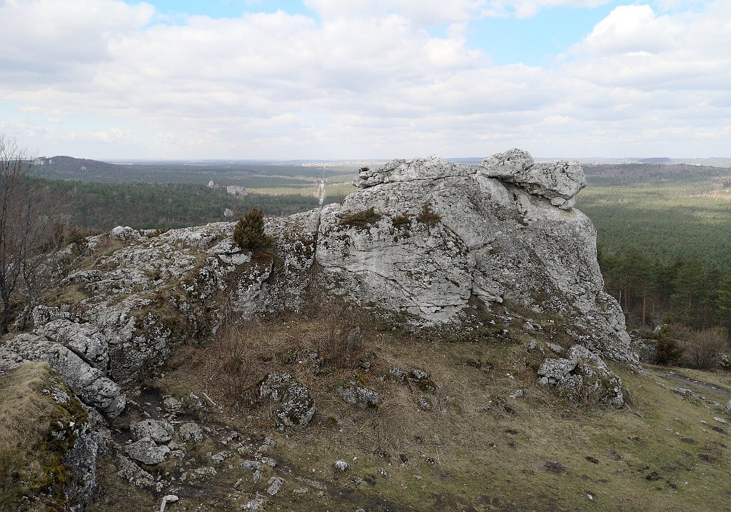 059_p20_IMG_20190320_105504.jpg - rrem