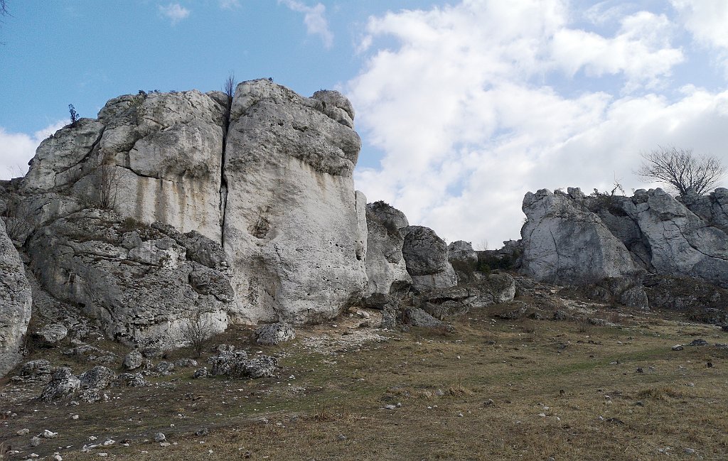 103_p20_IMG_20190320_111402.jpg - rrem