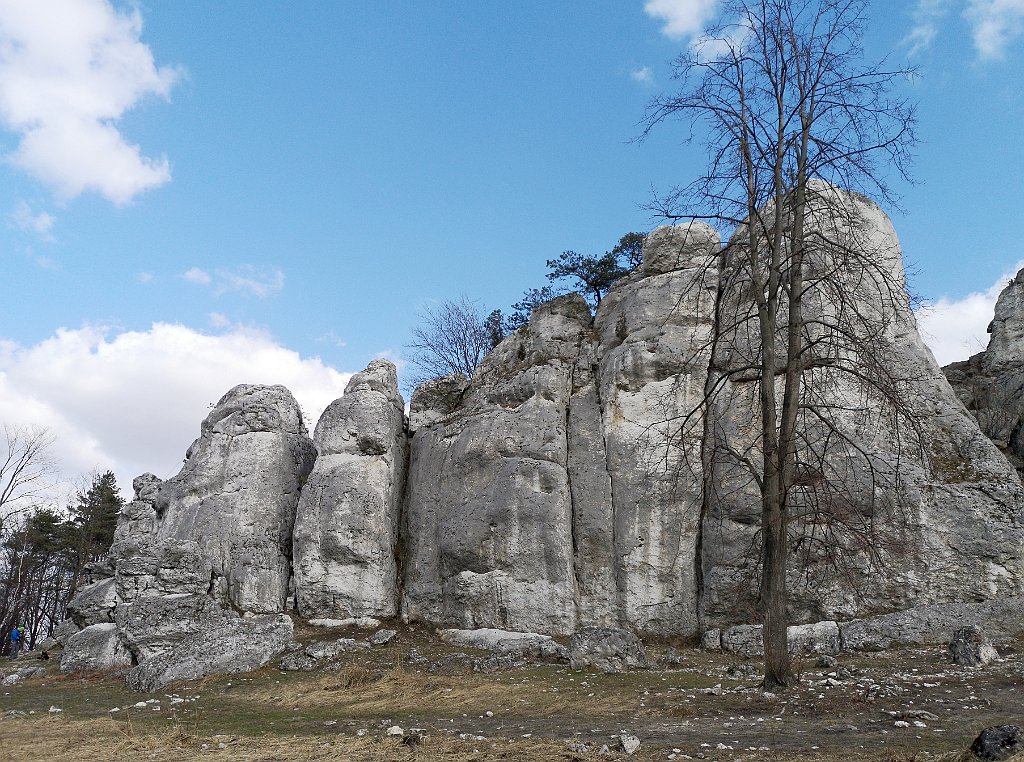 105_p20_IMG_20190320_111418.jpg - rrem