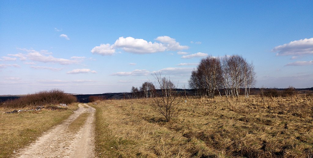 235_p20_IMG_20190320_153230.jpg - rrem