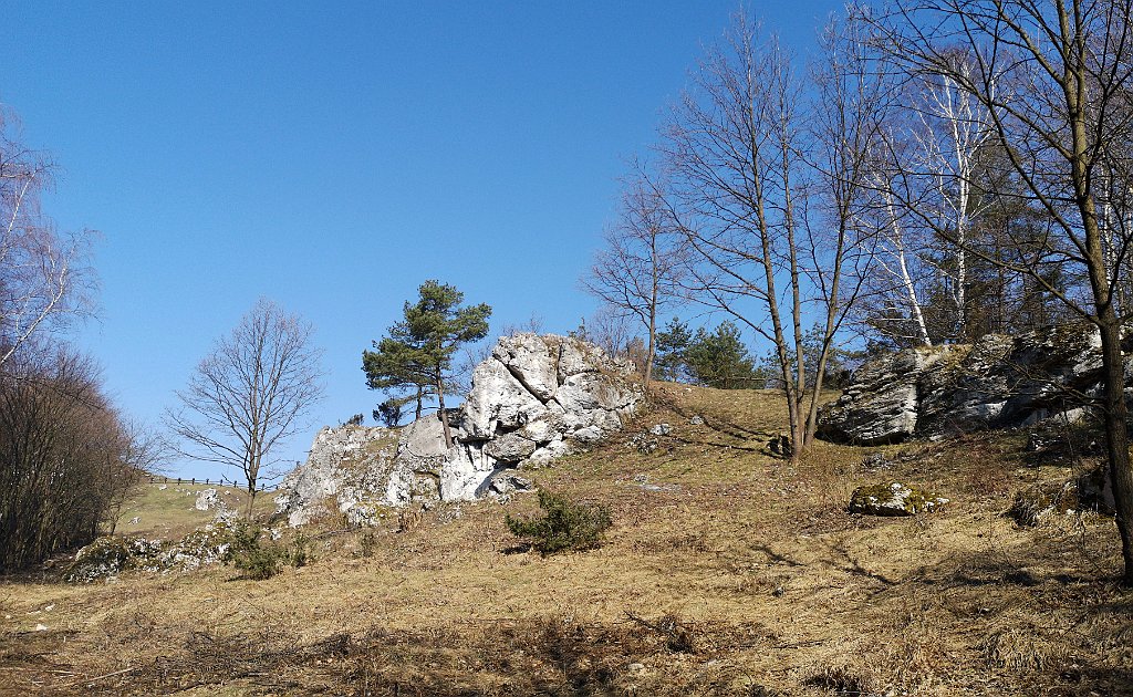 051_p20_IMG_20190402_102354.jpg - rrem