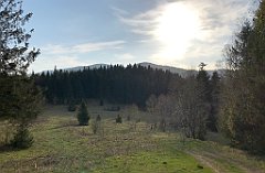 242_iP_190420_IMG_3775