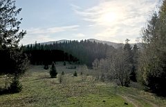 243_iP_190420_IMG_3776