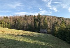 256_iP_190420_IMG_3779