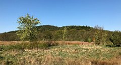 028_iP_20190430_IMG_3781