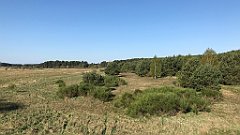 067_iP_20190430_IMG_3788