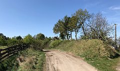 199_iP_20190430_IMG_3816