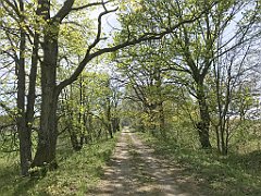 328_iP_20190430_IMG_3849