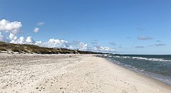 129_iP_20190505_IMG_3900