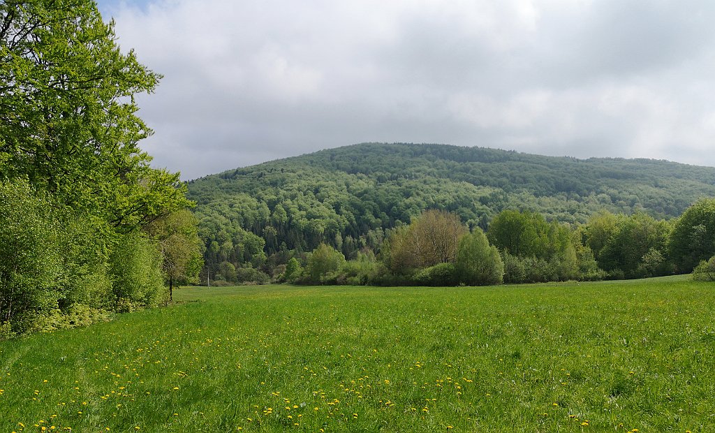 044_p20_IMG_20190517_103846.jpg - rrem