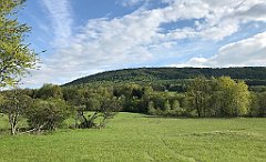 336_iP_190517_IMG_3972