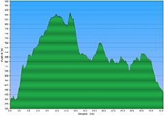 003_2019-06-10w_Wapienne_Malastow