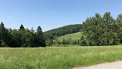 172_iP_190610_IMG_3994