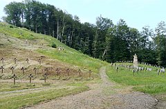 095_p20_IMG_20190618_183215