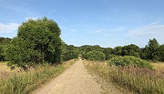 388_iP_190712_IMG_4131