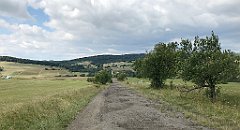 279_iP_190717_IMG_4220