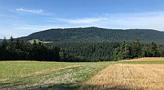175_iP_190807_IMG_4315