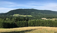 201_iP_190807_IMG_4316