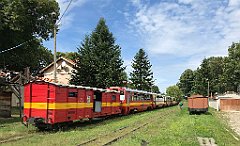 247_iP_190810_IMG_4442