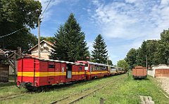 248_iP_190810_IMG_4443