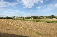 382_iP_190810_IMG_4461