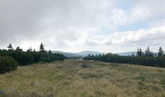 124_iP_190822_IMG_4486