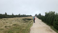 129_iP_190822_IMG_4489