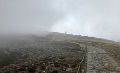 263_iP_190822_IMG_4505