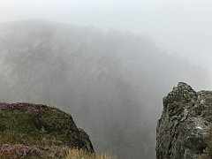 283_iP_190822_IMG_4508