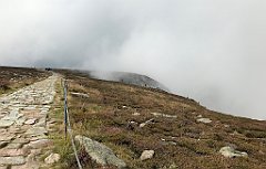 311_iP_190822_IMG_4518