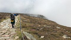 312_iP_190822_IMG_4519