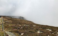 313_iP_190822_IMG_4520