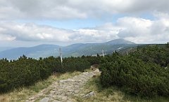 633_iP_190822_IMG_4572