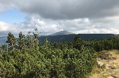 679_iP_190822_IMG_4582