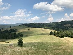 284_iP_190828_IMG_4693