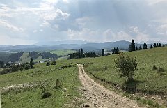 173_iP_190829_IMG_4712