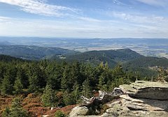 225_iP_190923_IMG_4894