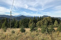 275_iP_191012_IMG_5168