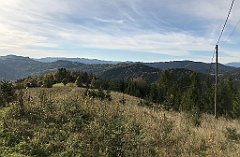 276_iP_191012_IMG_5169