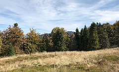 383_iP_191012_IMG_5199