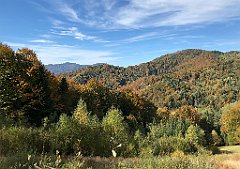 473_iP_191012_IMG_5203