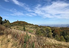 593_iP_191012_IMG_5224