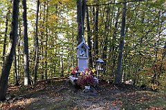 946_iP_191012_IMG_5318