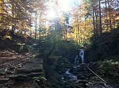 318_iP_191015_IMG_5349