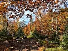 373_iP_191015_IMG_5359