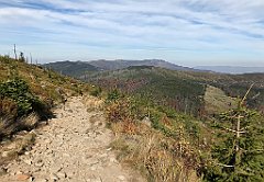 488_iP_191015_IMG_5398